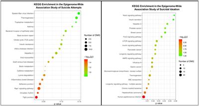 Large epigenome-wide association study identifies multiple novel differentially methylated CpG sites associated with suicidal thoughts and behaviors in veterans